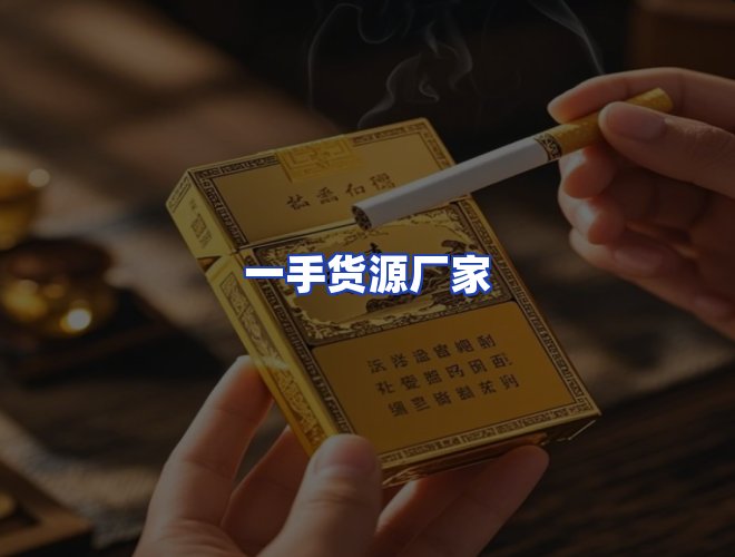 专业团队